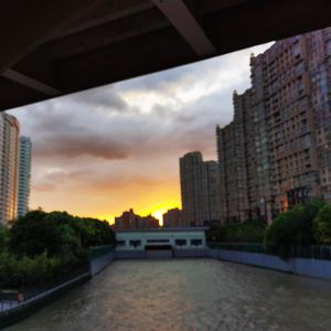 西岸暖阳