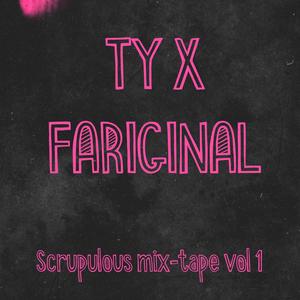 She the one (feat. Pieter T)