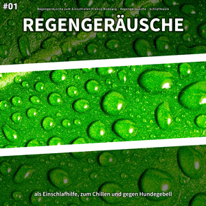 Regengeräusche