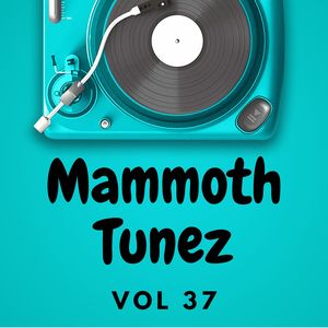 Body (Tribute Version Originally Performed By Tion Wayne, Russ Millions and Capo Plaza Rondodasosa) (Remix)