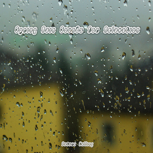 안정을 주는 봄비소리2