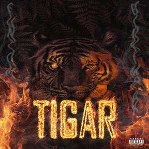 Tigar (feat. BirkiMrak)