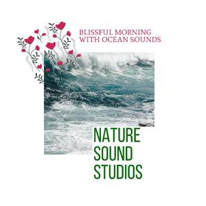 Crickets Night White Noise