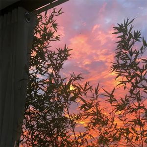 山花