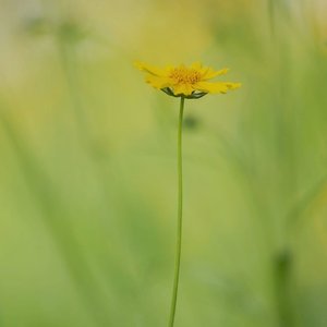 最远的你是我最近的爱