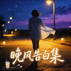 夏夜晚风遇见你