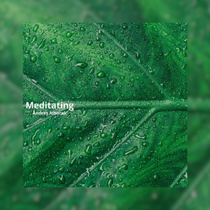 Meditating (With Cricket Sounds and Stream)