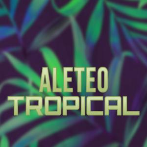 Aleteo Tropical