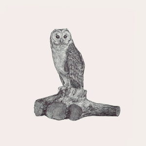 Дівчинонька