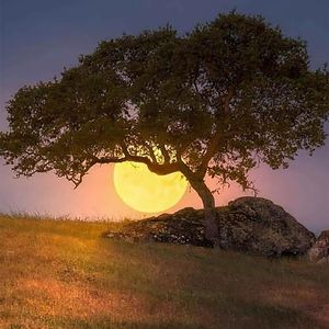 潜意识疗法 深度睡眠脑波