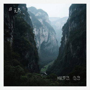 只能梦您，念您