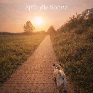 Spür die Sonne (Akustik Version)