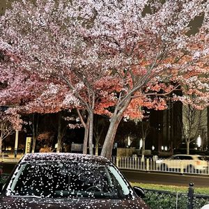 脱节(Prod by Keerad)