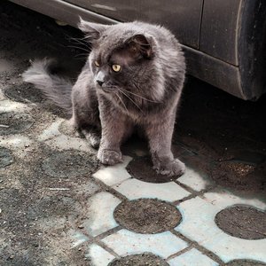 相逢已是上上签