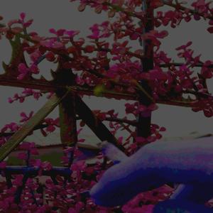 vecindario (viernes)