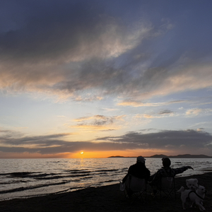 陪你等黄昏日落