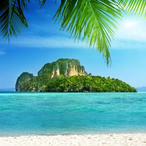 你是我手心里的宝