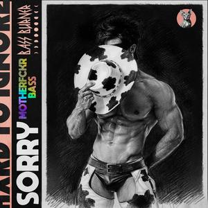 Sorry (MOTHERFCKR BASS)