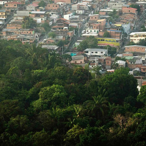 Manaus Frost