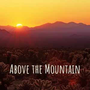 The Progressive Leader