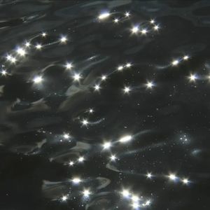 你是我忘不掉的痛