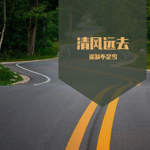 清风远去不如你