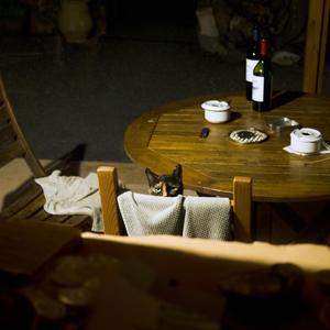 Tu dégoulines, Marmelade