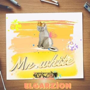 Mr.white