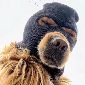 Timber X Time Of Our Lives (Party Hype Edit)