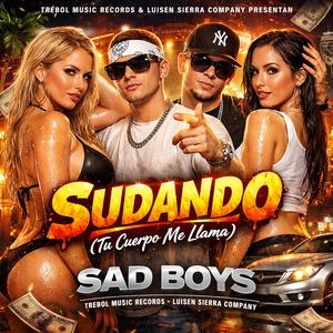 Sudando (Tu Cuerpo Me Llama)