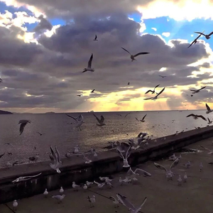 DJ小辉-EverywhereWeGo DJ（DJ小辉 remix）