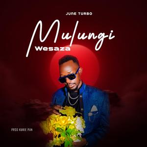 OMULUNGI WESAZA