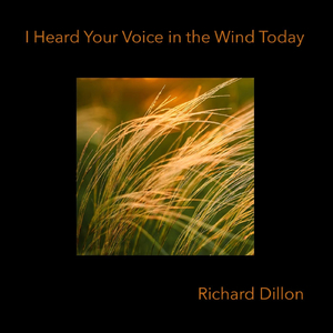 I Heard Your Voice in the Wind Today