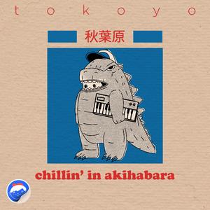 Chillin' in Akihabara