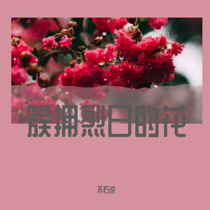 簇拥烈日的花-不朽说