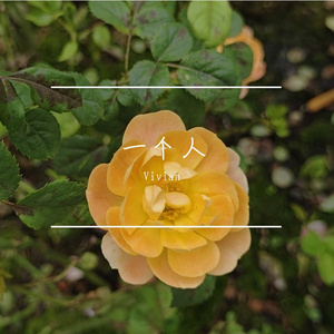 一个人(prod by FRESH_ye ）