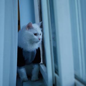 我该如何去爱你