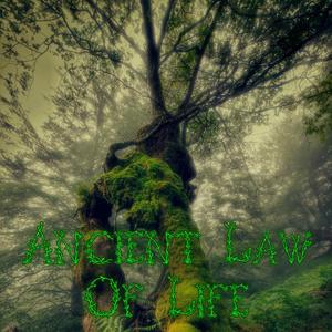 Ancient Law Of Life