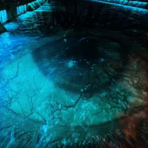 蓝眼泪: 澜眼泪