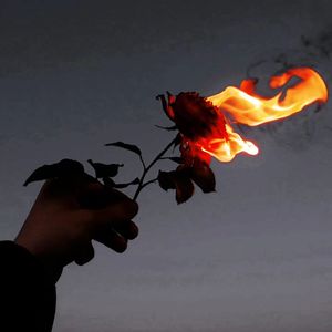 从此山水不相逢