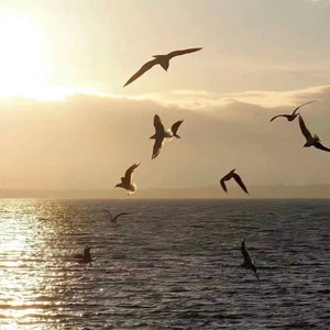 我再也不谈恋爱啦