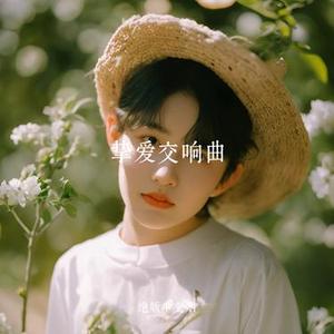 挚爱交响曲
