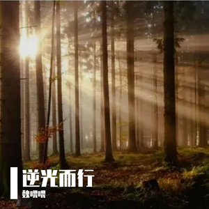 逆光而行