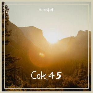 Colt.45（Cover 弹壳Danko）