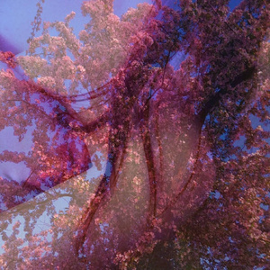 Walking Around The City