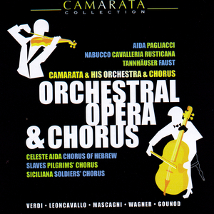 Recitar!... Vesti La Giubba (Pagliacci - Act 1)