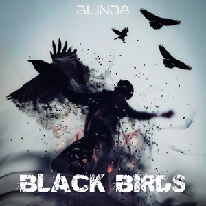 Black Birds