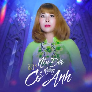 Nếu Đời Không Có Anh