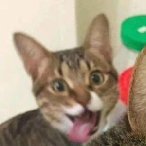 (HardBounce开场)-YoUNgG耿鬼