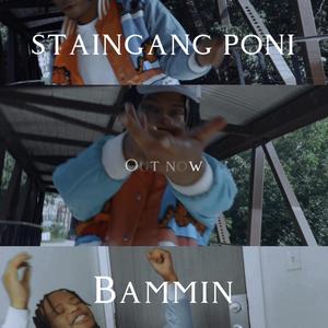 Bammin